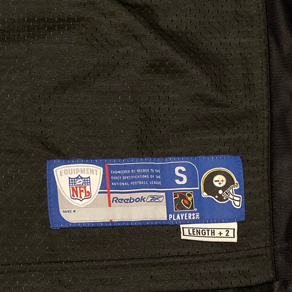 Polamalu Jersey - Picture 3 of 5